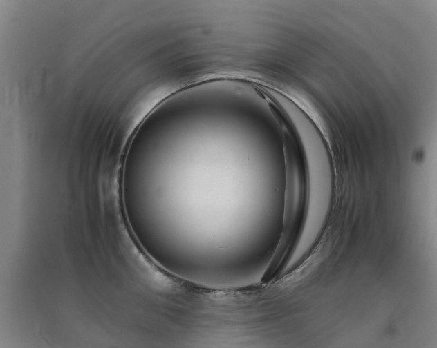 X0000091500906200708161456