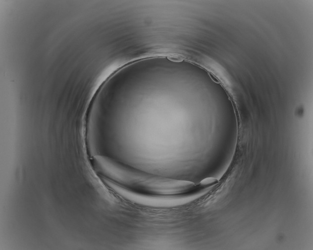 X0000091500907200708161456
