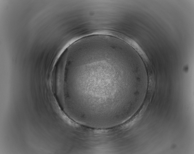 X0000091500908200708161456