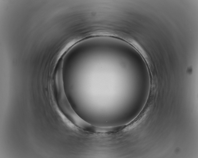 X0000091500909200708161456