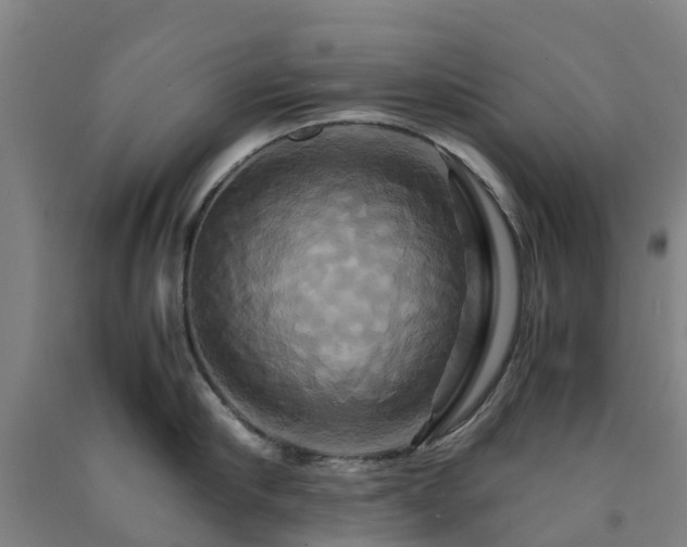 X0000091500910200708161456