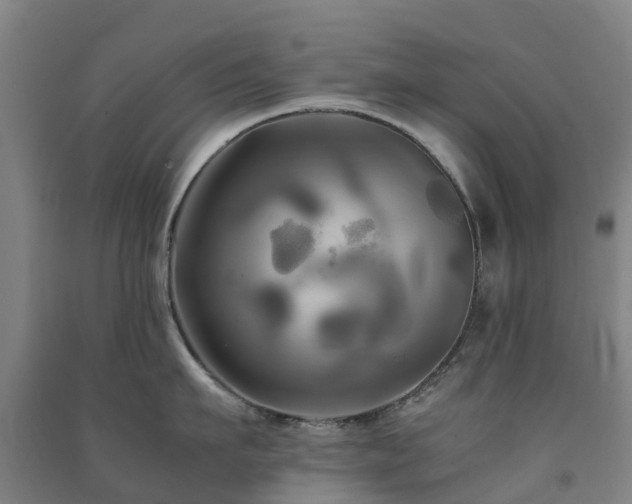 X0000091500911200708161456