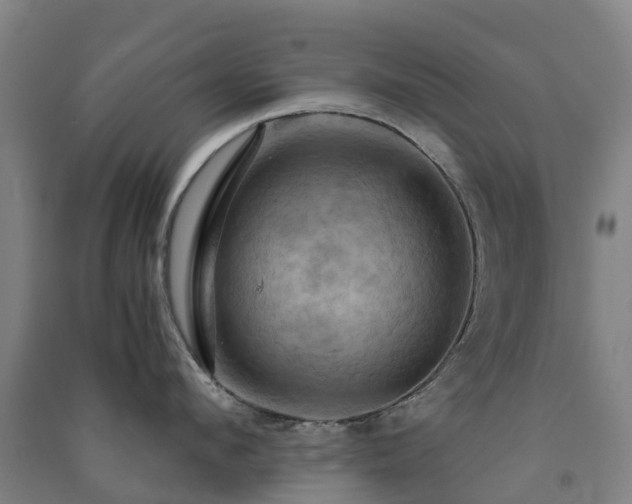 X0000091500912200708161456