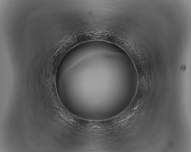 X0000091500913200708161455