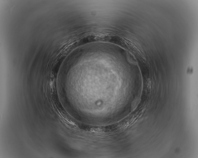 X0000091500914200708161455