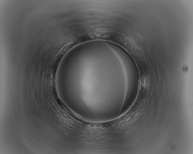 X0000091500915200708161455