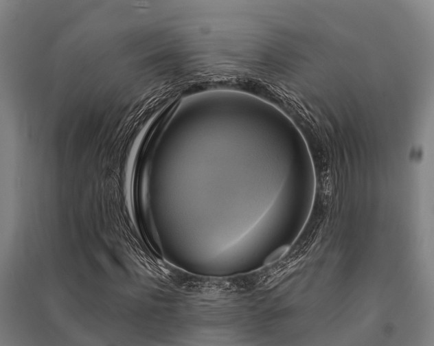 X0000091500916200708161455