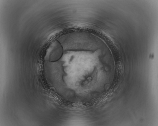 X0000091500918200708161455