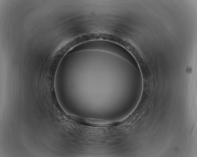 X0000091500919200708161455