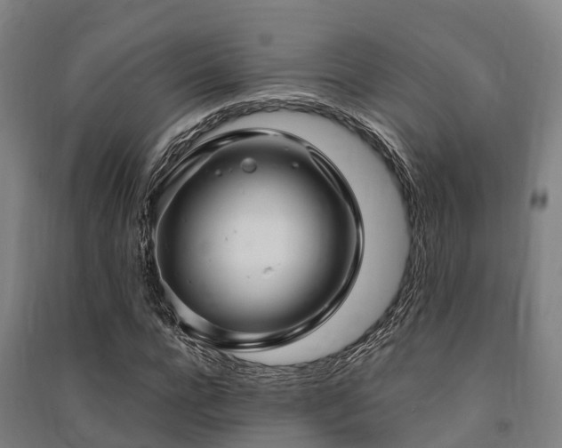 X0000091500920200708161455