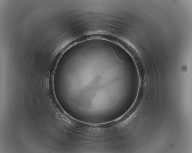 X0000091500921200708161455