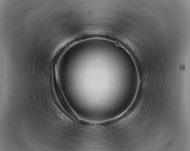 X0000091500922200708161455