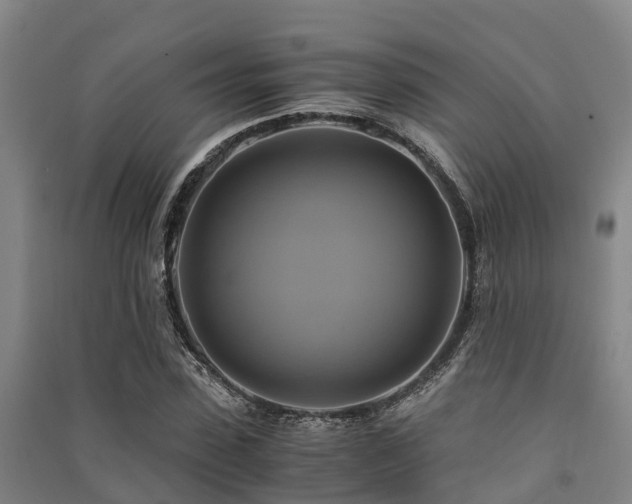 X0000091500923200708161455