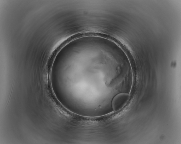 X0000091500925200708161456
