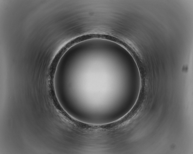 X0000091500926200708161456