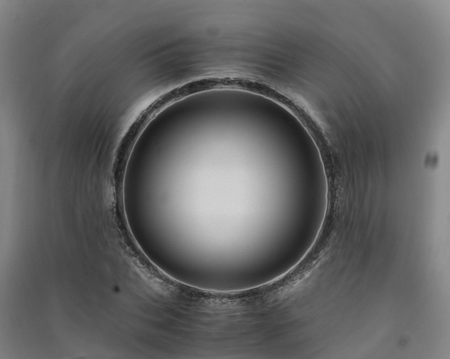 X0000091500927200708161456