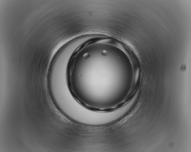 X0000091500928200708161456