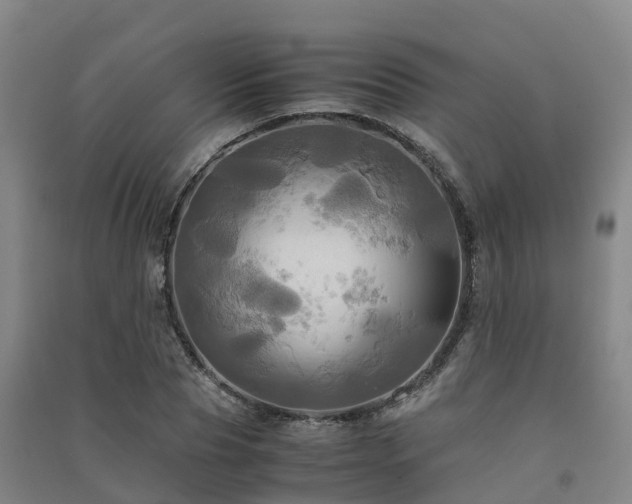 X0000091500929200708161456