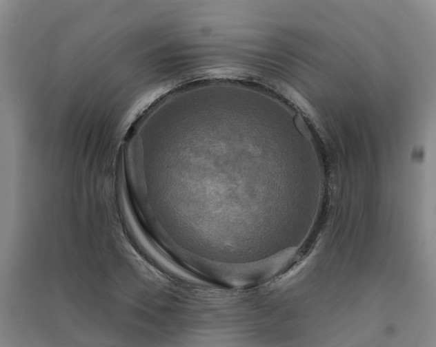X0000091500930200708161456