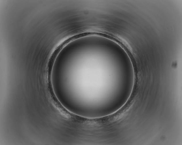 X0000091500931200708161456