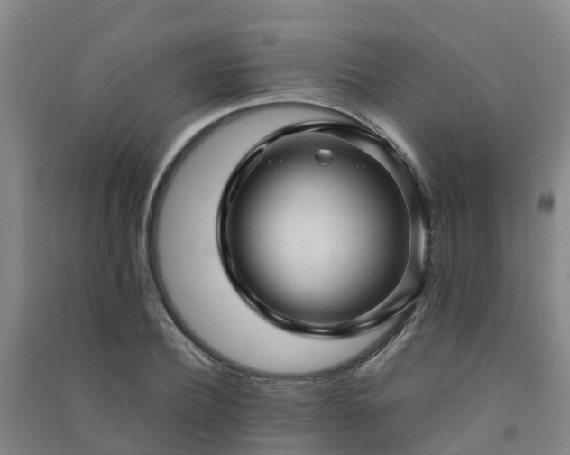 X0000091500932200708161456