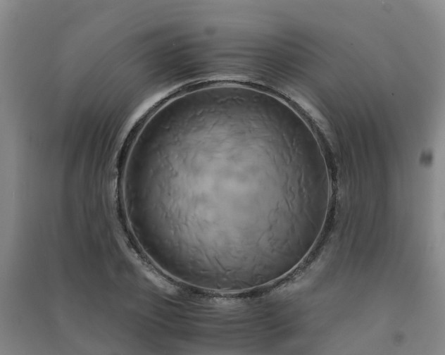 X0000091500933200708161456