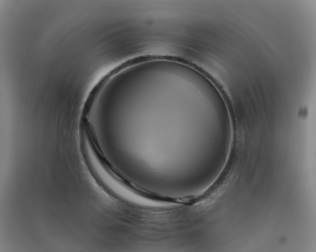X0000091500935200708161456