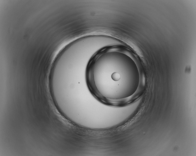 X0000091500936200708161456