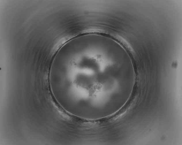 X0000091500937200708161456