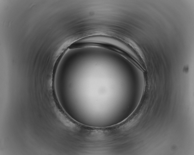 X0000091500938200708161456