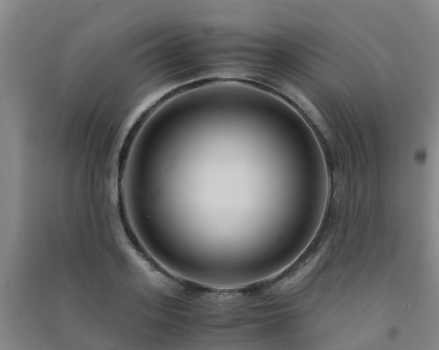 X0000091500939200708161456