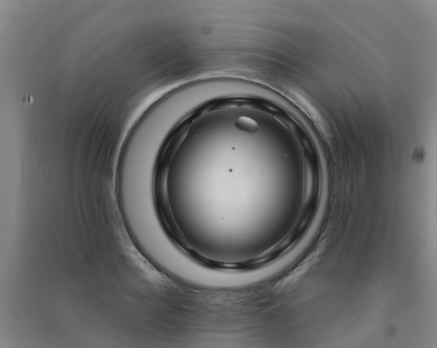 X0000091500940200708161456