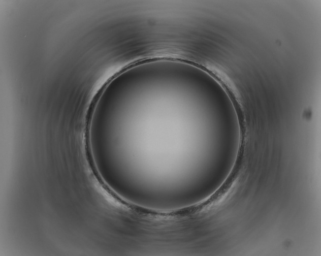 X0000091500941200708161456