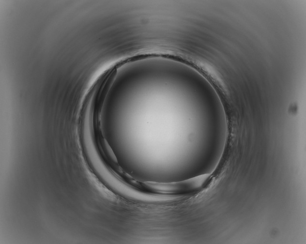 X0000091500942200708161456