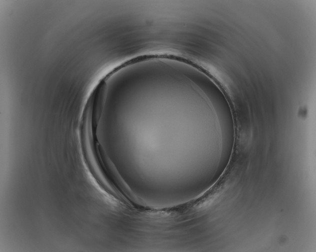 X0000091500943200708161456