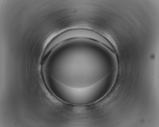 X0000091500944200708161456
