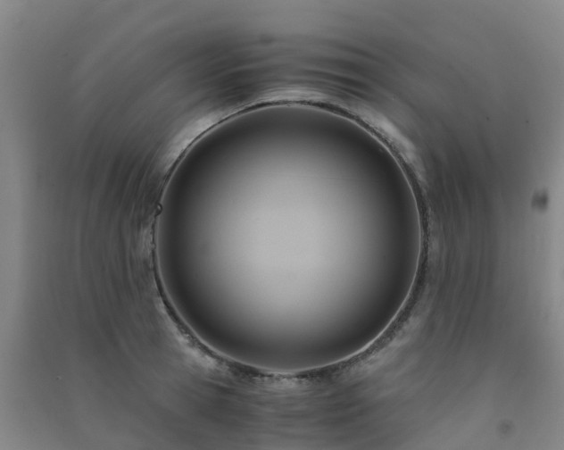 X0000091500945200708161456