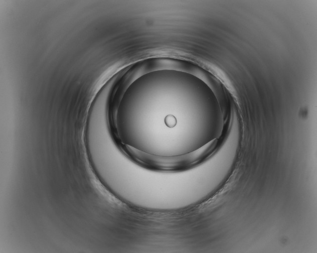 X0000091500946200708161456