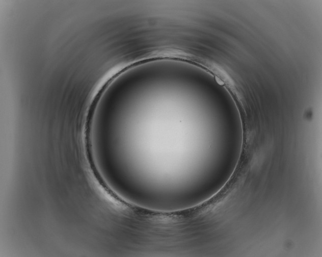 X0000091500947200708161456