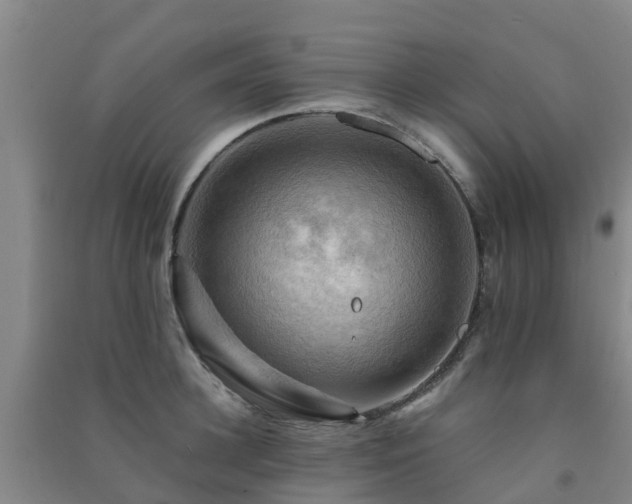 X0000091500948200708161456