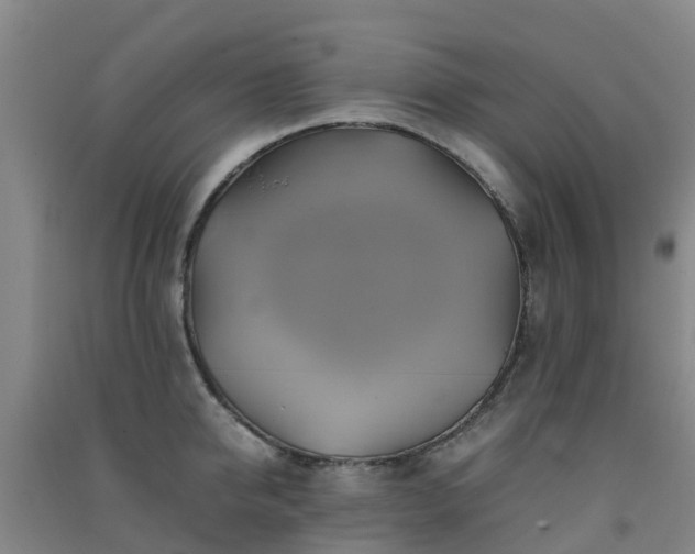 X0000091500950200708161456