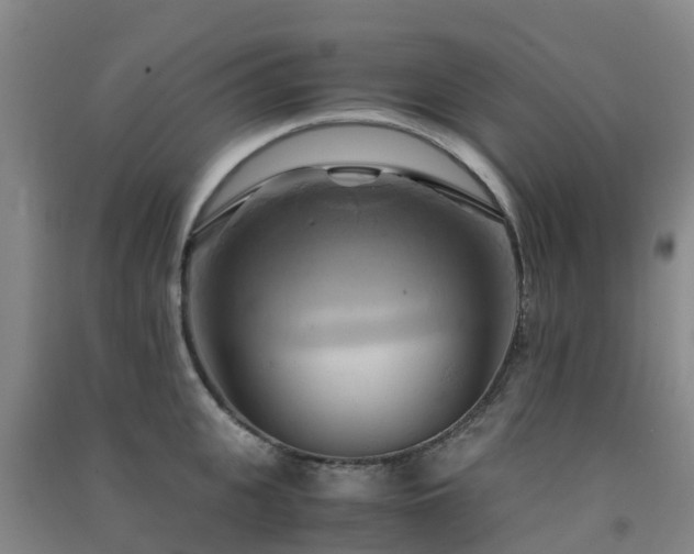 X0000091500951200708161456