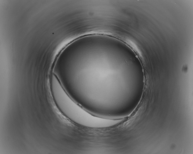 X0000091500952200708161456
