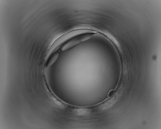 X0000091500953200708161456