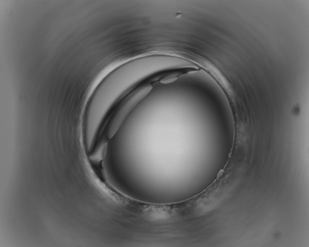 X0000091500955200708161456