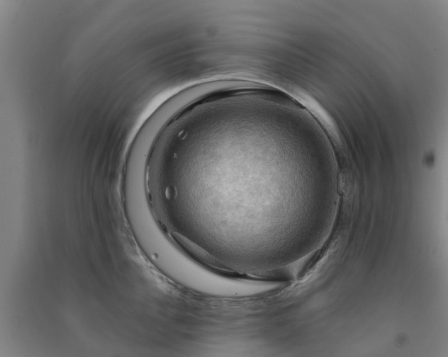 X0000091500956200708161456