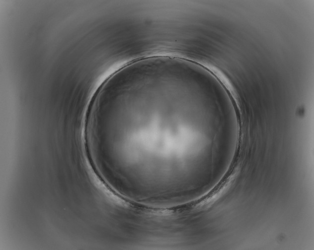 X0000091500957200708161456
