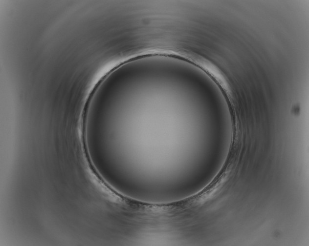 X0000091500958200708161456