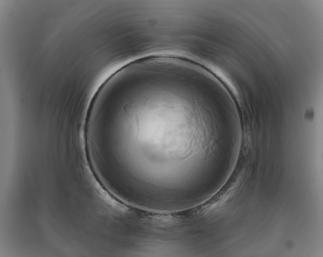 X0000091500959200708161456