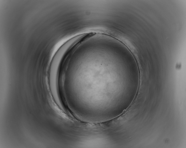 X0000091500960200708161456